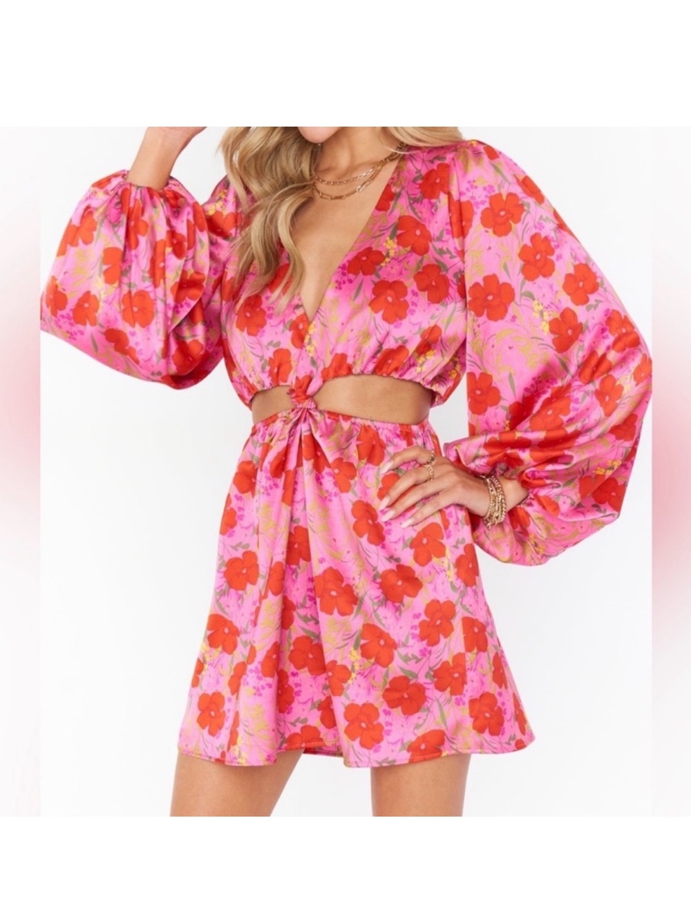 Show Me Your Mumu Pink Dress with Red Floral Print